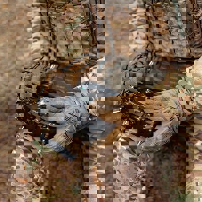 Shutterstock 2602959359 Min