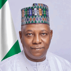 His Excellency
Sen. Kashim Shettima