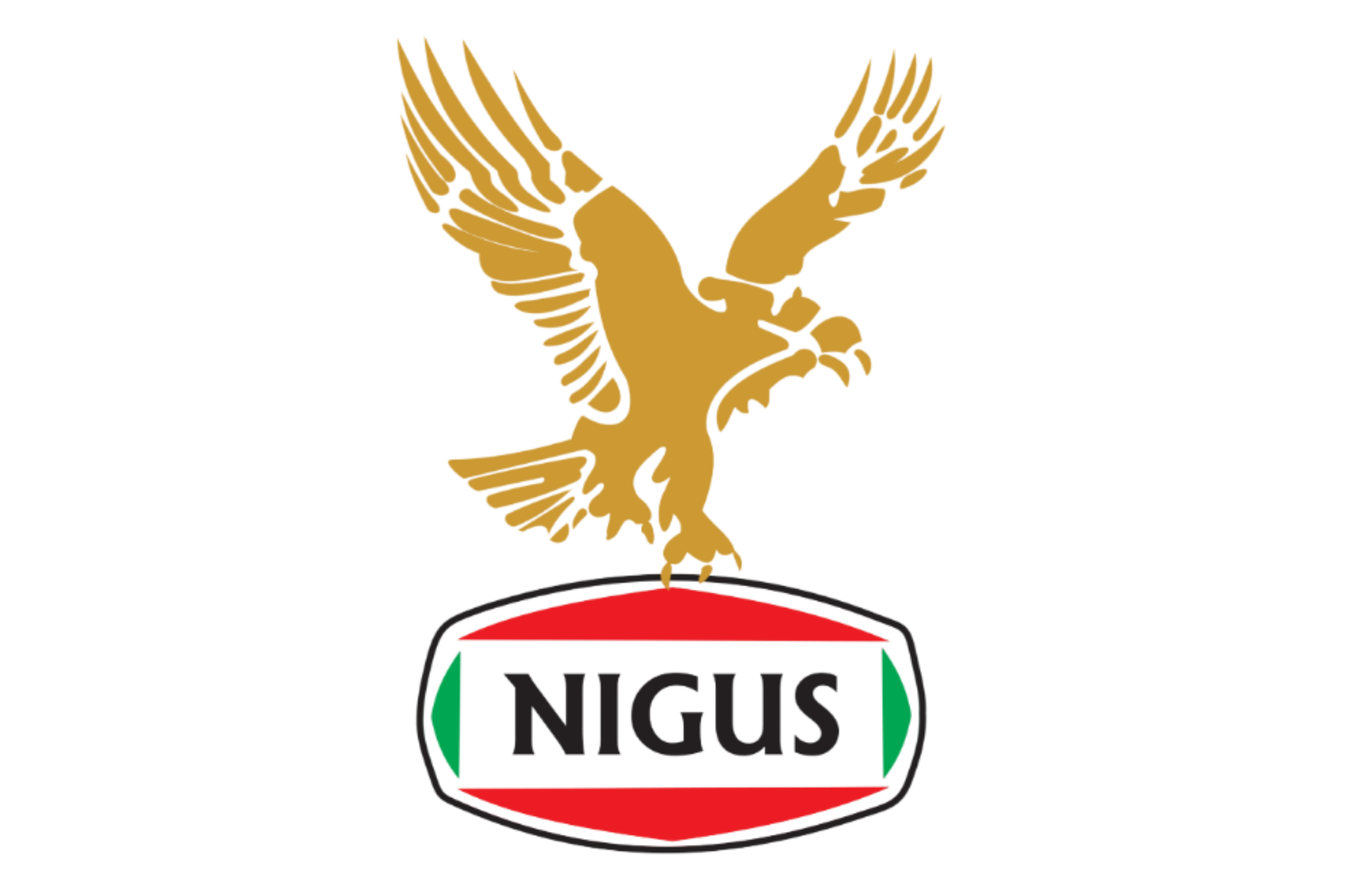 Nigus Tactical Systems