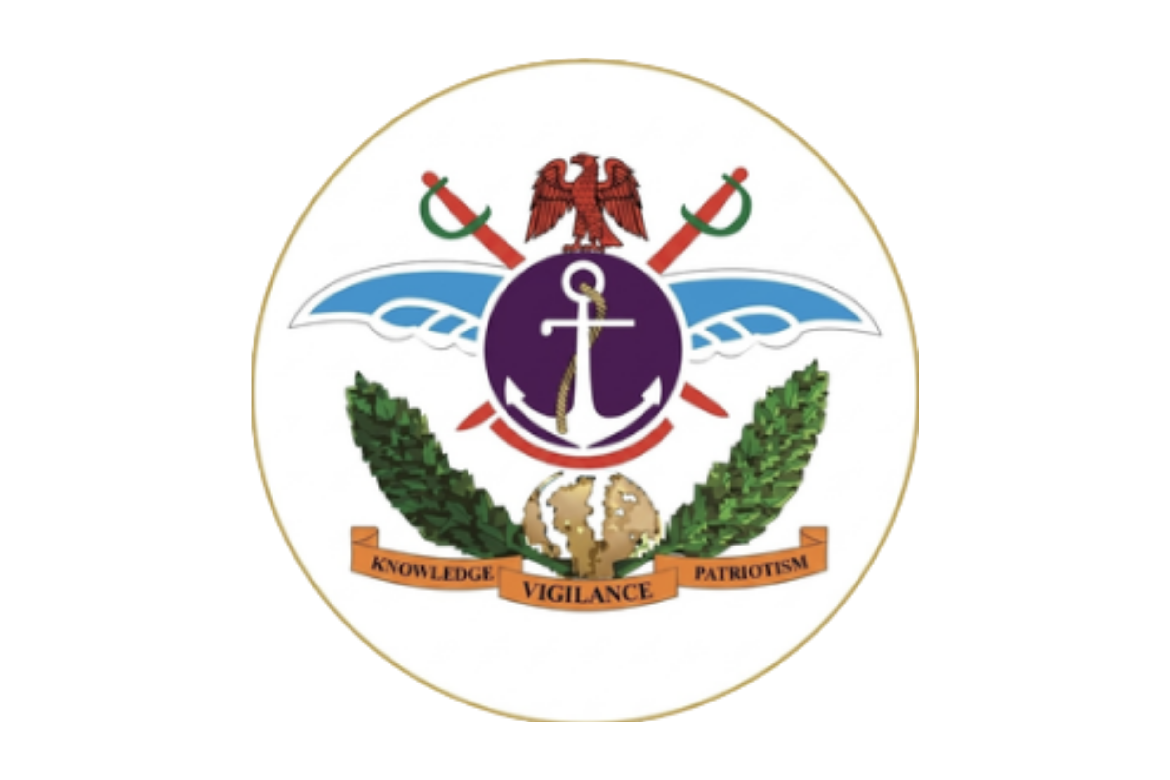 The Defence Intelligence Agency (DIA) (1)