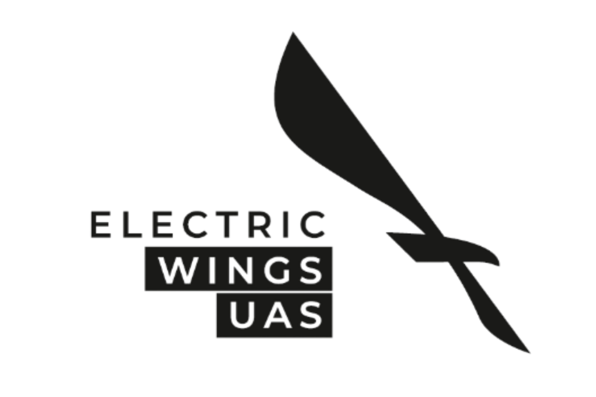 Electric Wings Group