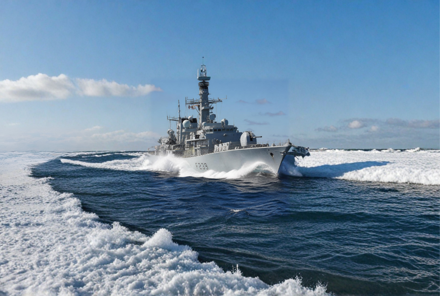 AFRIDEX SEA DOMAIN IMAGE V1