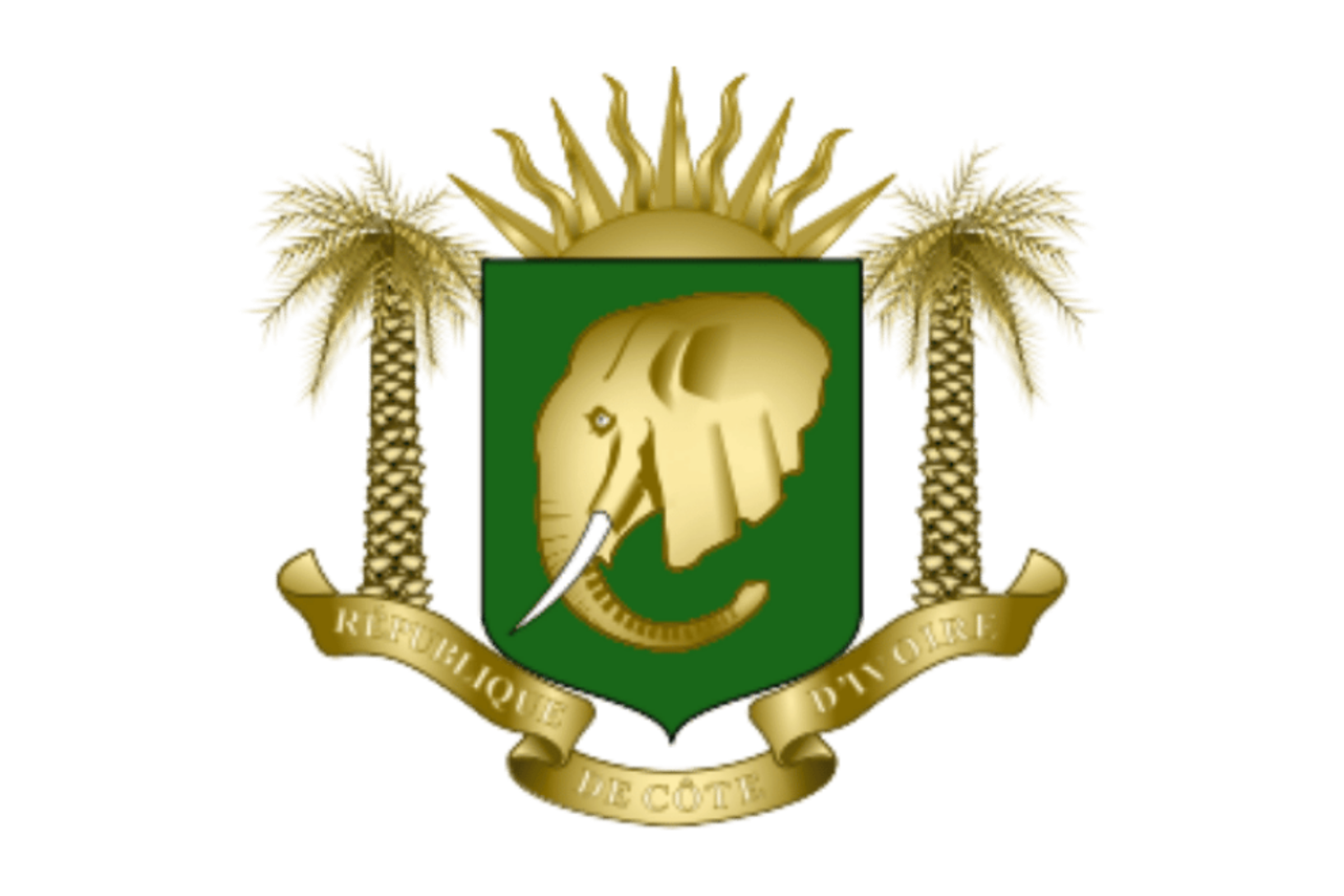 Armed Forces Of Côte D'ivoire